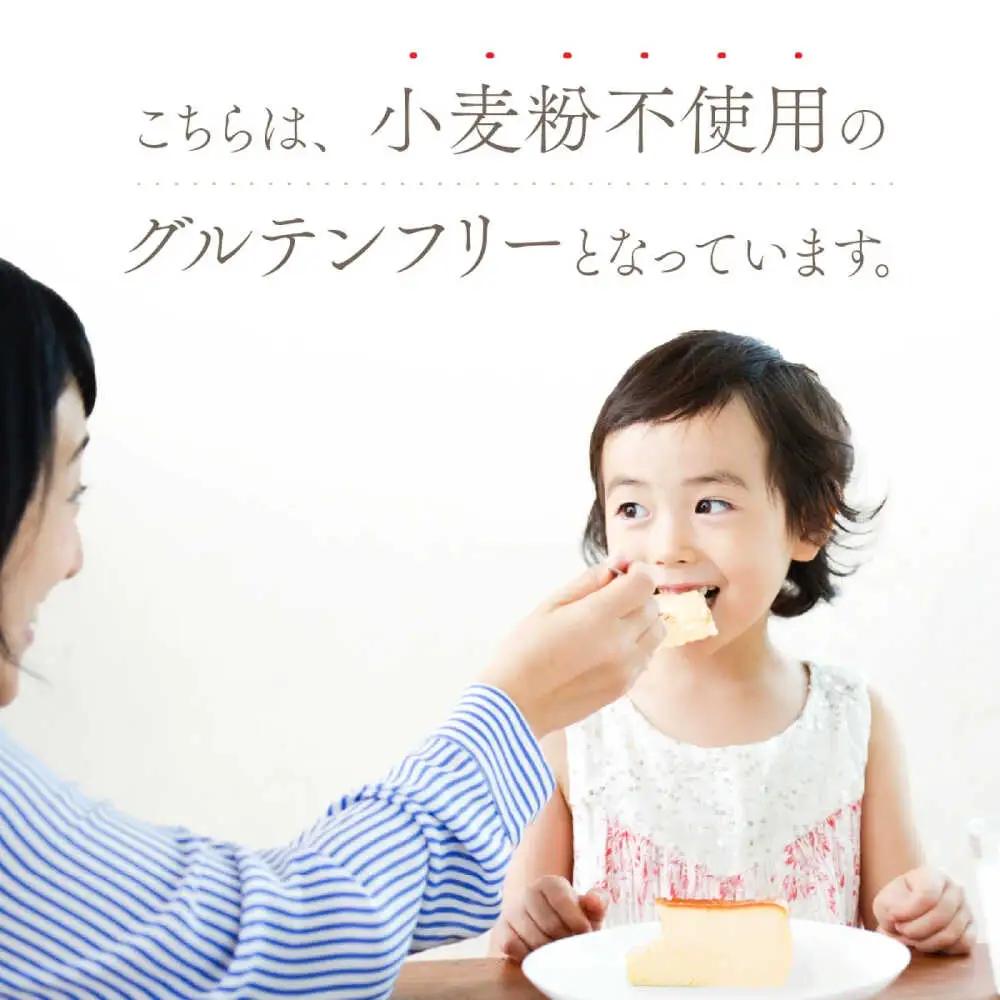 チーズテリーヌ ＼グルテンフリー／ チーズケーキ ケーキ スイーツ小浜市 / 志保重 [BFBF002] 【配送不可地域：北海道・沖縄・離島】