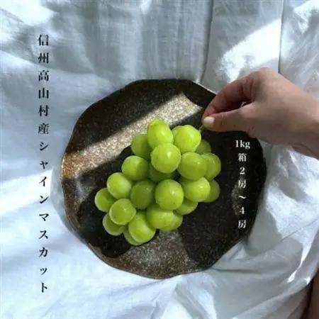 【2026年10月～11月発送】長寿の村信州高山村産シャインマスカット約1kg箱(2房～4房)【配送不可地域：離島・沖縄県】【1383479】