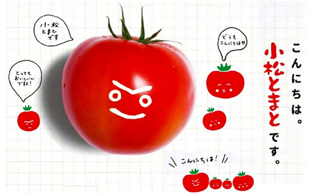 おいしいトマトでつくったカレー5箱セット トマトカレー