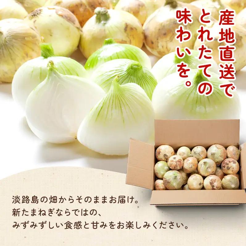 新玉ねぎ 淡路島産 4kg 島の里 甘い 新玉ねぎ