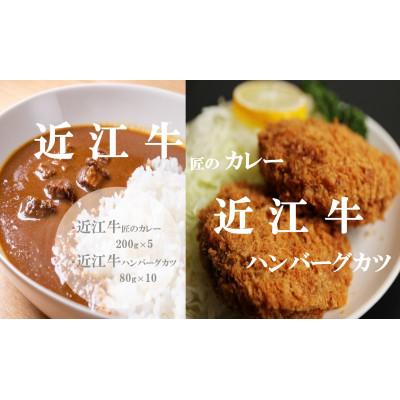 ふるさと納税 竜王町 「近江牛匠のカレー」と「近江牛ハンバーグカツ」セット