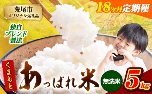 【18ヶ月定期便】熊本県産 くまもとあっぱれ米 ブレンド米 5kg 熊本県産 ふるさと納税 無洗米 精米 米 こめ ふるさとのうぜい コメ お米 おこめ《お申込み翌月から出荷》