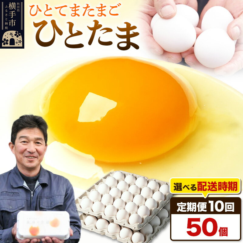 【ふるさと納税】《定期便10ヶ月》ひとたま 50個（業務用）【発送時期が選べる】