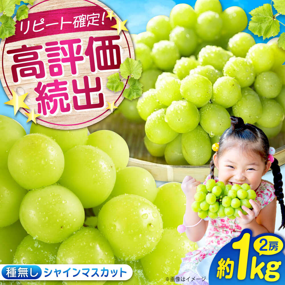 【ふるさと納税】【限定1000セット】 沼隈ぶどう シャインマスカット 約1kg(2房)2025年先行予約 数量限定 期間限定 広島県福山市/沼隈グリーンセンター ぶどう ブドウ 葡萄 種なし 大粒 マスカット シャインマスカット 果物 フルーツ [BAEV005]