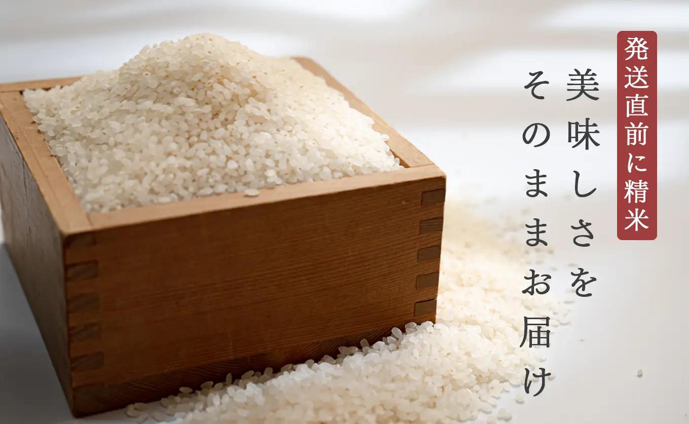 令和8年 新米 ヒノヒカリ 春遠米 5kg 高知県大月町産 精米 白米 10月中旬より順次お届け