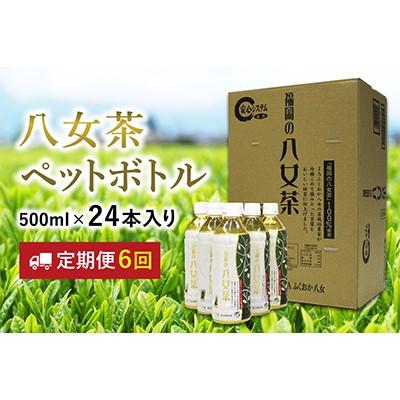 ふるさと納税 飯塚市 【毎月定期便】八女茶　煎茶ペットボトル　500ml×24本全6回