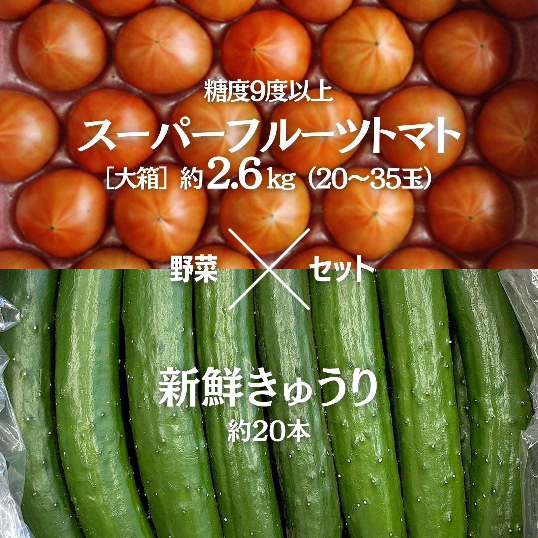 糖度9度以上 トマト 【 2025年収穫分 先行予約 】 スーパーフルーツトマト 大箱 約2.6kg （20〜35玉）糖度9度以上 ＆ 新鮮 きゅうり 約20本 野菜セット 2025年2月上旬発送開始 とまと トマト 胡瓜 キュウリ 野菜 サラダ [BC062sa]