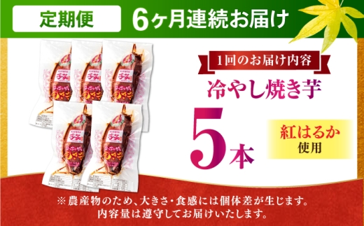 【全6回定期便】紅はるか 冷やし焼き芋 5本入 / やきいも 焼いも 焼芋 冷蔵 しっとり / 亀山市 / 芋笑 [AMBU015]