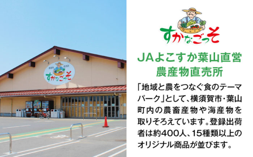 【全3回定期便】よこすか野菜セット すかなボックス / 野菜 やさい 野菜ボックス 野菜セット 野菜詰め合わせ 産地直送 野菜BOX おまかせ 食べ比べ 新鮮 季節 【JAよこすか葉山】 [ASCB002]