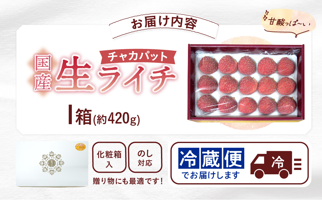 先行予約 数量限定 希少 国産 綾 生ライチ 1箱（化粧箱入り）果物 フルーツ くだもの 国産ライチ 2027年 トロピカルフルーツ 南国フルーツ 冷蔵 ジューシー 高級 デザート ギフト 贈り物 プレゼント ご褒美 宮崎県 送料無料【JA綾町】_A0114-1043