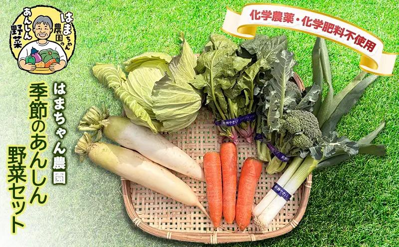 野菜セット はまちゃん農園 季節のあんしん野菜 6品目 野菜セット【6品目セット】