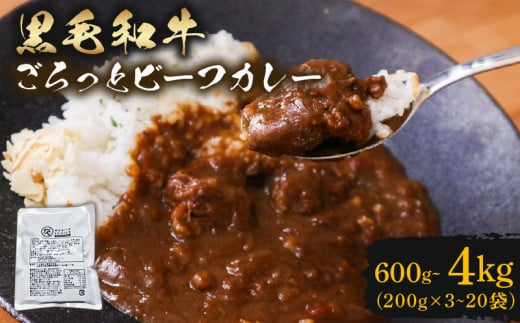 訳あり 黒毛和牛 レトルト カレー 200g×11袋 2.2kg パウチ レトルトカレー 牛肉 ビーフカレー 和牛 簡易包装 温めるだけ 簡単調理 時短 レンジ 湯煎 常温 備蓄 家庭用 たっぷり 200g カレーうどん カレーライス お取り寄せ 大阪府 松原市
