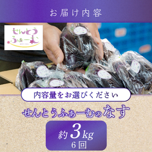 【6回定期便】朝採れナス 約3kg×6回 高知県安芸市｜ナス AZ006