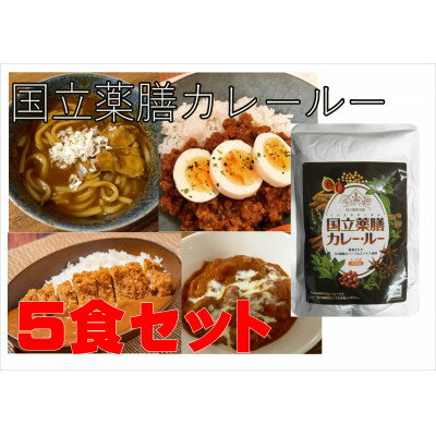 【ふるさと納税】30種のスパイスを使用　国立薬膳カレールー　300g×5パックセット　小麦粉・ラード不使用【1594656】