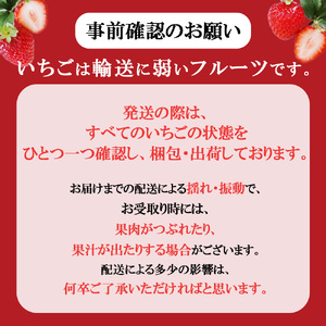 【ふるさと納税】【先行予約】紅白いちご300g×2｜いちご 栃木県 下野市