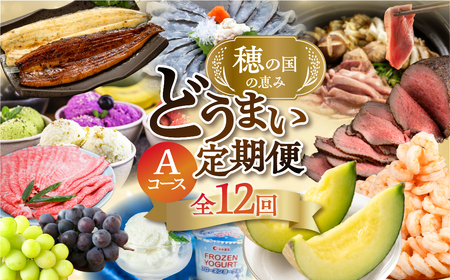 【肉コース】穂の国の恵み どうまい 定期便 全12回 肉コース /  定期便 定期便 定期便 定期便 定期便