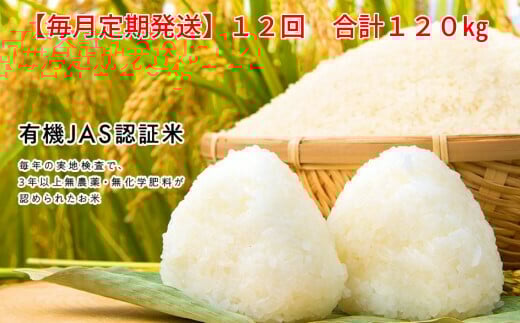 ＜新米先行予約＞【毎月定期12回】令和7年産 新米 有機栽培米 コシヒカリ 5kg 自然栽培米 ササニシキ 5kg 【玄米】