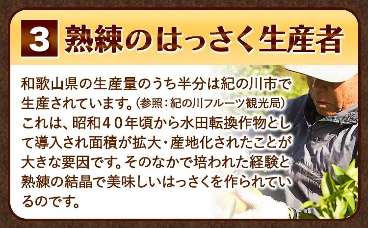 ご家庭用はっさく八朔約10kg