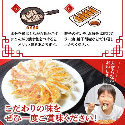 ふるさと納税 大分市 将軍ぎょうざ 80個 (20個×4箱)_A02031 |  | 02