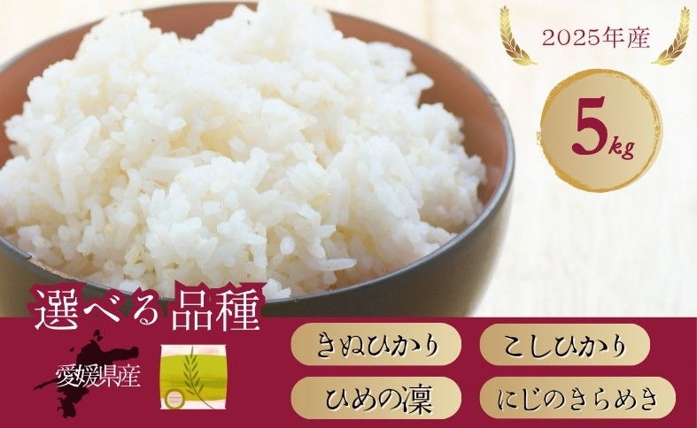 
                  お米 5kg きぬひかり こしひかり ひめの凜 にじのきらめき【選べる品種】令和7年産 愛媛県 米 愛媛県産 精米 米 こめ コメ 白米 ごはん ライス 愛媛 伊予市
                