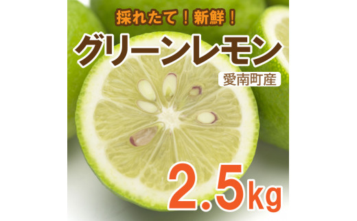 
グリーン レモン 檸檬 2.5kg フルーツ 果物 くだもの 贈答 ギフト ビタミンC クエン酸 疲労 回復 ストレス 解消 免疫力 向上 大容量 国産 産直 皮ごと 丸ごと 愛媛 愛南
