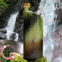 【ふるさと納税】【信楽焼】水をおいしく飲める！　ラジウムボトル（グリーン） mu-006 | クラフト 民芸 人気 おすすめ 送料無料