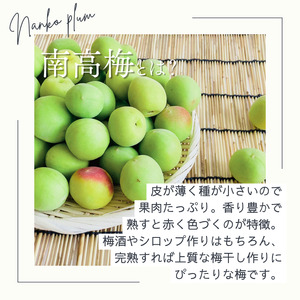 南高梅 約5kg (＋保証100g)【秀品】完熟  2L以上 カキエモン農園【BX-kkem016】