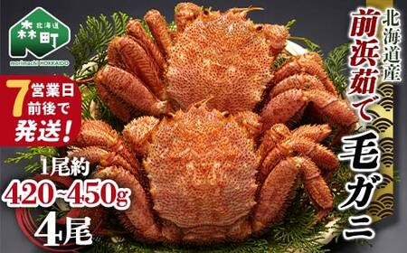 【7営業日前後で発送】北海道 毛ガニ 前浜茹で毛がに 約420g～450g 4尾 かに カニ 蟹 ガニ がに 森町 毛蟹 毛かに 毛がに 毛カニ 毛ガニ mr1-1535