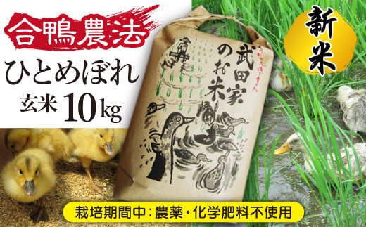 
《令和６年産》新米 武田家のお米 ひとめぼれ（玄米）10kg＜合鴨農法＞【米農家 仁左ェ門】 / 米 ５キロ ２袋 アイガモ
