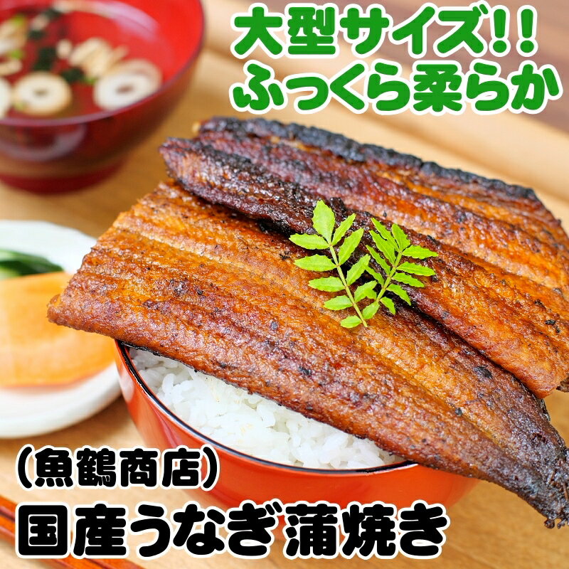 【ふるさと納税】 うなぎ 蒲焼 国産 大型サイズ / 国産うなぎ 蒲焼き うな丼 うな重 ※離島への配送不可 //fish