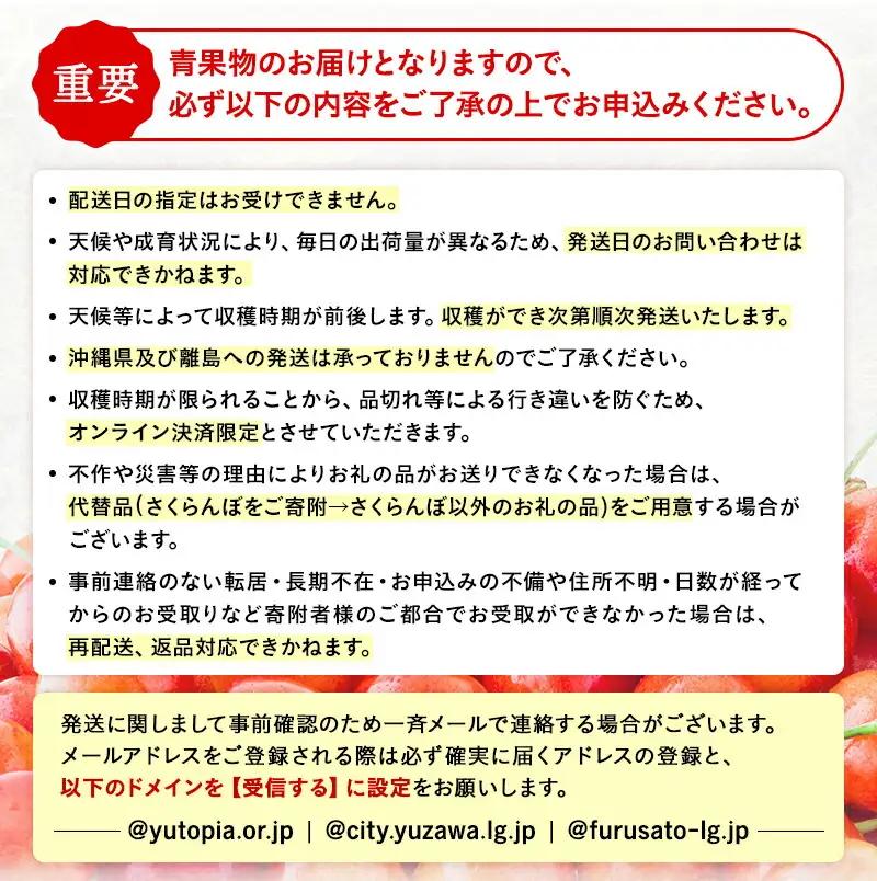 三関産 さくらんぼ 佐藤錦 250g×2 (秀Lサイズ)【三関果樹勉強会】[B4-3203]