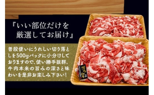 肉 博多和牛 切り落とし500g 3回 定期便 [MEAT PLUS 福岡県 宇美町 um40azp010063] ふるさと納税 牛肉 牛 肉 和牛 黒毛和牛 切落し 赤身 和牛 肩肉 牛肩 バラ肉 