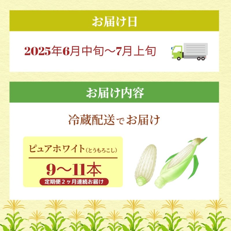 《糖度18度以上》スイートコーン とうもろこし ピュアホワ