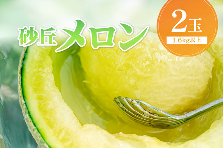 【先行予約／数量限定450】京丹後産 砂丘メロン 大玉2L以上 2玉（2026年7月下旬～発送） 青肉メロン フルーツの贈答品にも