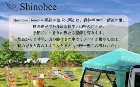 AS19　国産・非加熱 生はちみつ 2本セット 計600g　百花〈山野の花々〉【 国産 非加熱 蜂蜜 ハチミツ 生はちみつ はちみつ ハニー 百花 百花蜜 兵庫県 宍粟市 】