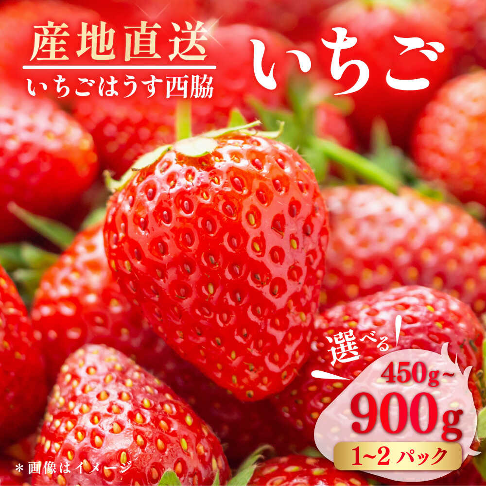 【ふるさと納税】【先行予約】【数量限定100セットずつ】【選べるパック数・内容量】いちご 約450g～約900g【いちごはうす西脇】[AKHO001]