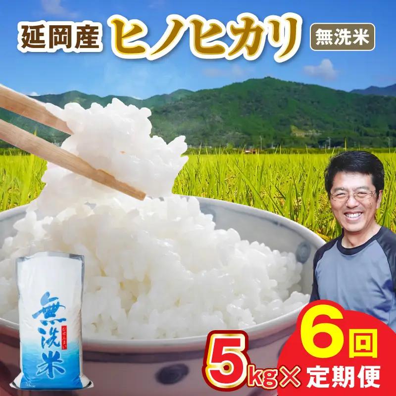 延岡産ヒノヒカリ（無洗米）5kg 6ヶ月定期便 N0218-YG0263