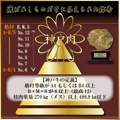 訳あり 神戸牛 切り落とし肉 400g AGS1 【2026年4月より順次発送】【配送不可地域：離島】【1682370】