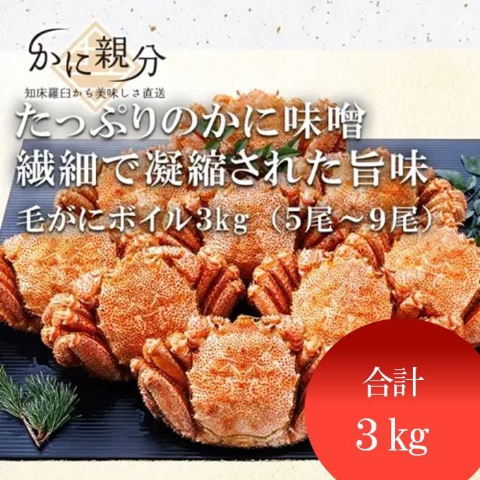 【ふるさと納税】冷凍ボイル毛ガニ　3kg(5-9尾) | 蟹 魚介類 水産 食品 人気 おすすめ 送料無料