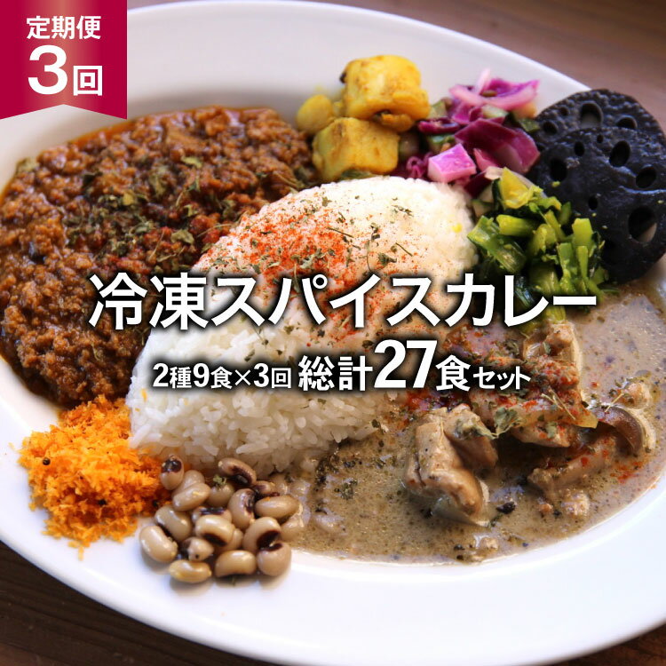 【ふるさと納税】【3回定期便】冷凍スパイスカレー2種 9食×3回 総計27食 [カレーライフ 長崎県 雲仙市 item2252]