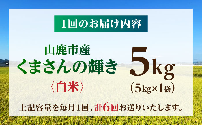 【先行予約】【6回定期便】くまさんの輝き 白米  5kg 山鹿市産 【奥村果実園】 [ZFK020]