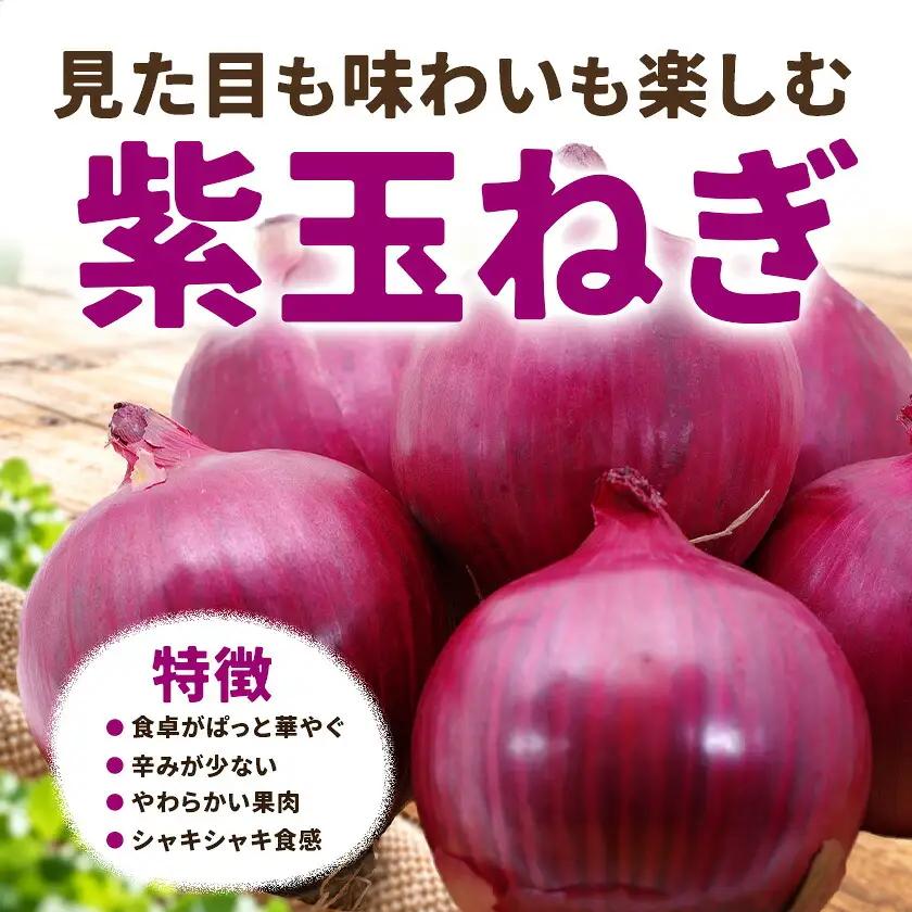 野菜 玉ねぎ・紫玉ねぎ 10kg B&T TRADING株式会社