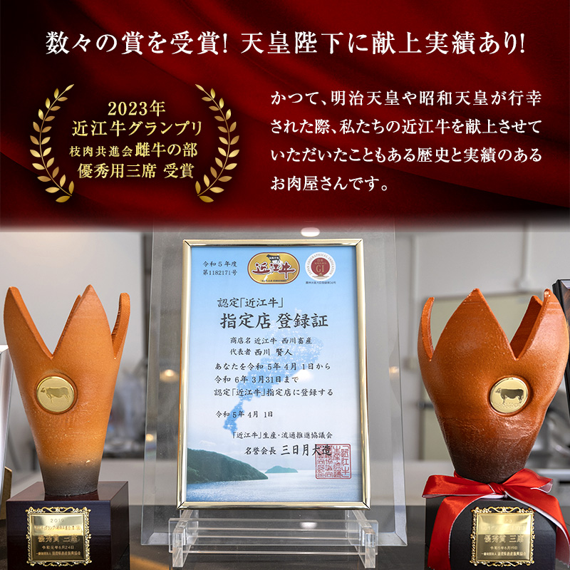 近江牛 西川畜産 A5ランク サーロイン 約500g 短冊焼肉用 雌牛 ふるさと納税 お肉 ブランド牛　和牛　黒毛和牛　日本三大和牛　滋賀県