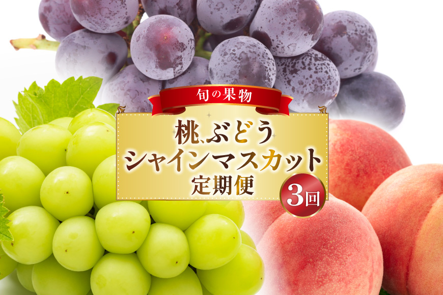 
            フルーツ 定期便 3回 山梨 旬な果物 大満足3種セット 桃 2.2kg(6〜10玉) ぶどう 900g(2房) シャインマスカット 1.2kg(2房) [斎庵 山梨県 韮崎市 20743911] フルーツ定期便 果物 くだもの 定期 マスカット シャイン 葡萄 ぶどう ブドウ 巨峰 ピオーネ もも momo
          