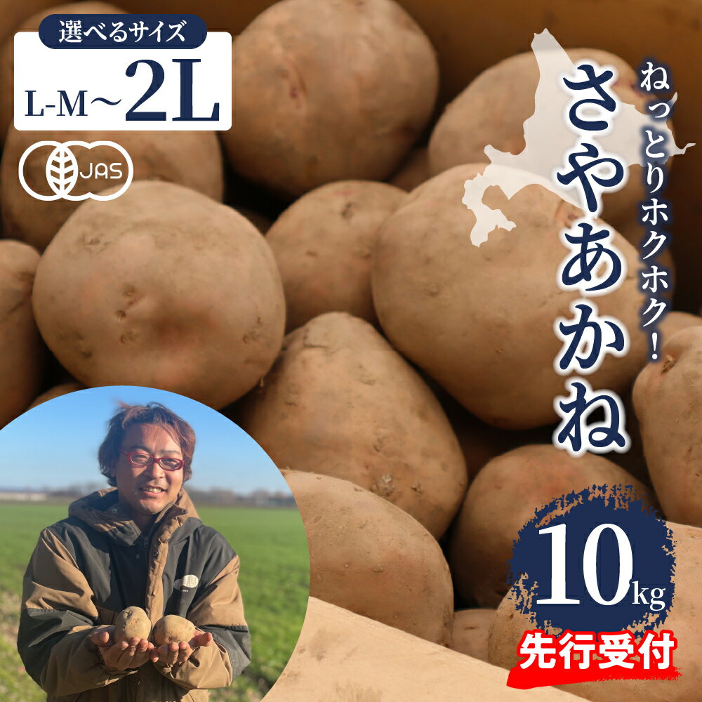 【ふるさと納税】【2025年12月より配送】＼選べるサイズ／ 北海道産 じゃがいも さやあかね 10kg 栽培期間中 農薬不使用 L-M L 2L サイズ 先行予約 先行受付 ジャガイモ 芋 いも ポテト 馬鈴薯 野菜 おかず 常温 送料無料 産地直送 お取り寄せ 北海道 十勝 芽室町