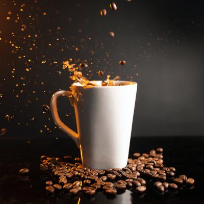 ふるさと納税 泉大津市 【自家焙煎珈琲】プランタンブレンド300g×2袋入り(中挽き)焙煎仕立ての珈琲豆をお届け!