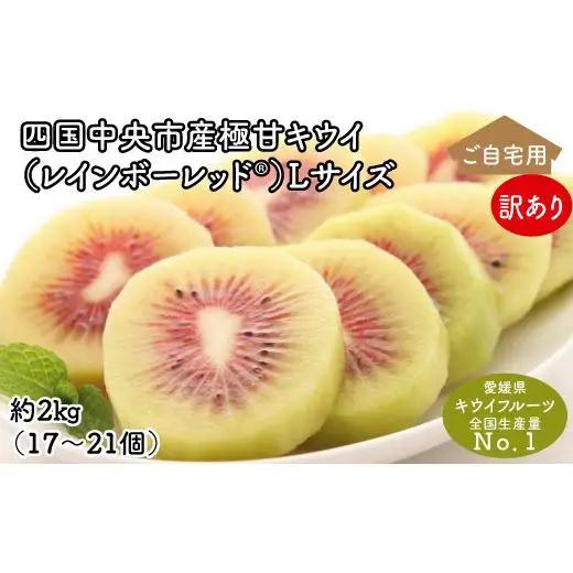＜10月下旬以降発送＞【ぽぽ農園】【訳あり・ご自宅用】レインボーレッドキウイ（四国中央市産レインボーレッド） Lサイズ 約2kg（17個～21個）