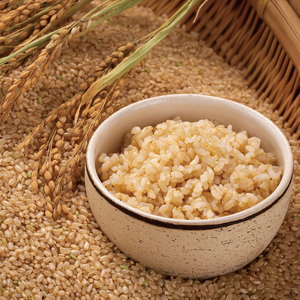 【先行予約】令和7年産 特Aランク米 ゆめぴりか 玄米 20kg(10kg×2袋)雪冷気 籾貯蔵 北海道 雪中米