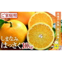 【ふるさと納税】しまなみはっさく 家庭用八朔10kg（尾道市因島・生口島産）【2025年2月上旬から発送】 | L～LLサイズ 柑橘 みかん オレンジ 広島県 尾道