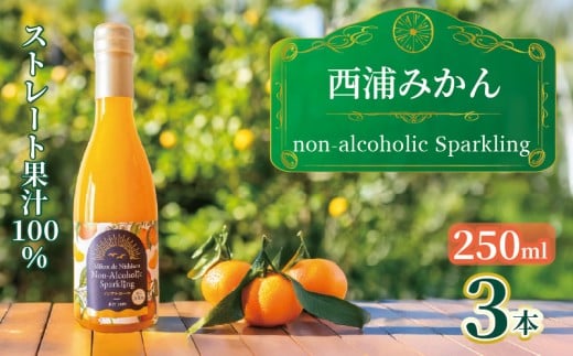 西浦 みかん スパークリング ジュース ストレート 果汁 100％ 250ml×3本 蜜柑 飲み物 ミカン 人気 贈答用 静岡 沼津